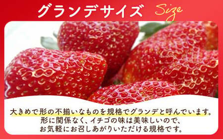【訳あり】とちおとめ 320g×4パック 約1.2kg グランデサイズ｜果物 フルーツ イチゴ 苺 グランデ 産地直送 大粒 甘い 数量限定 栃木県 壬生町 ※2027年1月～発送