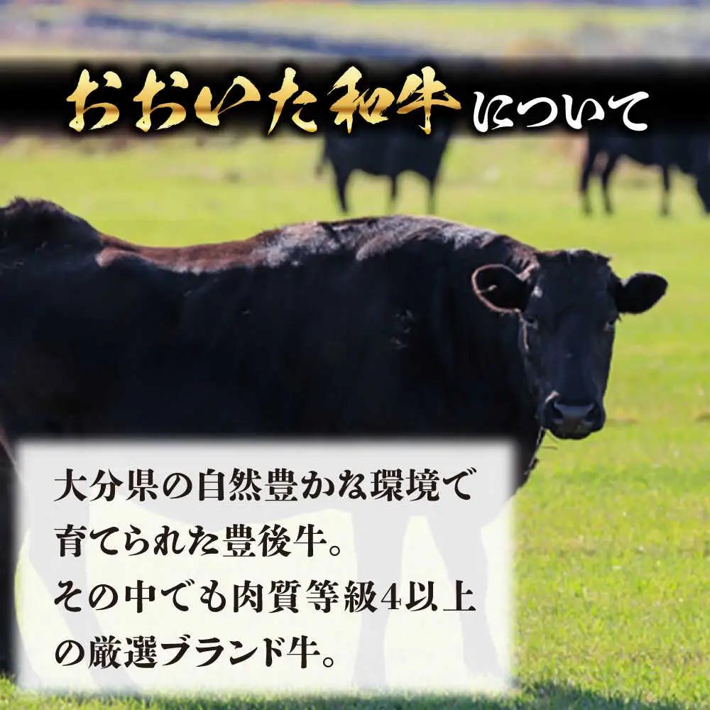 肉屋のまかないカレー(230g×8パック) 日田市 おおいた和牛 レトルト カレー [ARFE002]