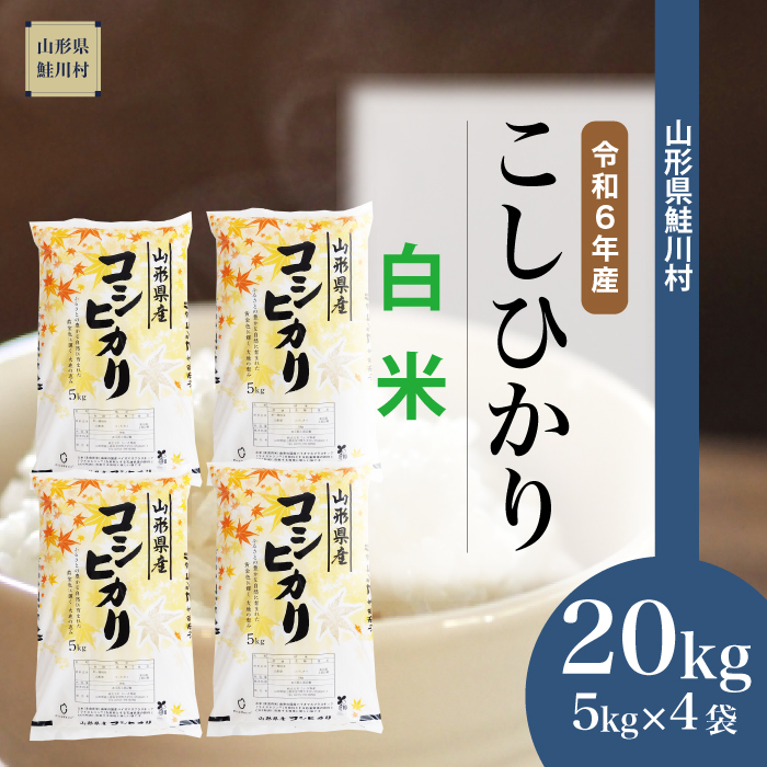 ＜令和6年産米 配送時期指定できます！＞　コシヒカリ 【白米】 20kg （5kg×4袋） 鮭川村