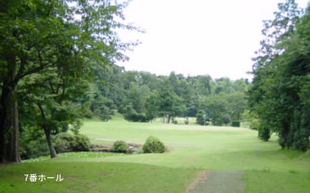 ゴルフ場利用券 白井ゴルフ林間ショートコース 土日1回プレー券 2名様分 白井市 ゴルフ場 お一人様でも回れるゴルフ場 おすすめ 体験 千葉 初心者歓迎 ショートコース ペアチケット 体験チケット