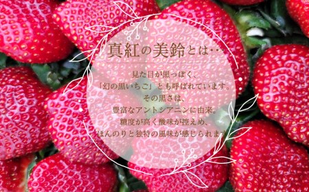 【先行予約】ゆきもと農園 幻のいちご 真紅の美鈴 30粒入  12月中旬～3月頃発送