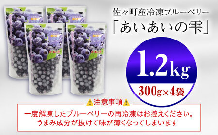 ジューシーで濃厚な甘み！佐々町産冷凍ブルーベリー「あいあいの雫」300ｇ×4袋【堀内フルーツファーム】[QAT017]