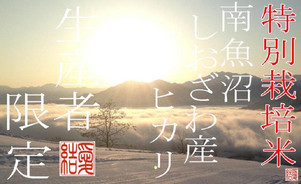 【令和7年産】【定期便10Kg×6ヶ月】【特別栽培米】 契約生産者限定  南魚沼しおざわ産コシヒカリ【2025年10月上旬より順次発送予定】