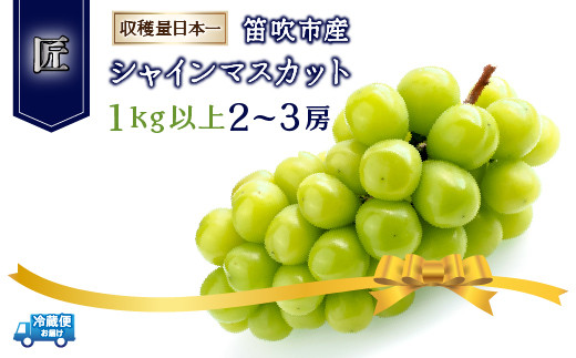 ＜2026年発送＞笛吹市産シャインマスカット（匠）2～3房　1kg以上 ふるさと納税 おすすめ ランキング シャインマスカット 笛吹市 国産 人気 期間限定 ぶどう ブドウ 葡萄 旬 果物 フルーツ デザート 山梨県 送料無料 210-002-26y