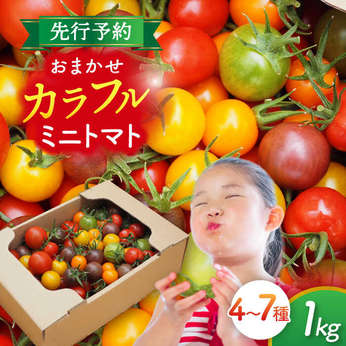 【ふるさと納税】いろどりあざやか カラフルミニトマト 1.0kg　野菜 ミニトマト サラダ 愛西市/株式会社石原農園[AEBG001]
