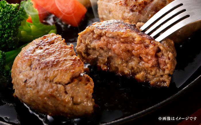 【全12回定期便】博多和牛 A5ランク 牛ミンチ 約500g×6 ≪築上町≫【KRAZY MEAT】 肉 和牛 ミンチ A5 [ABEN060]