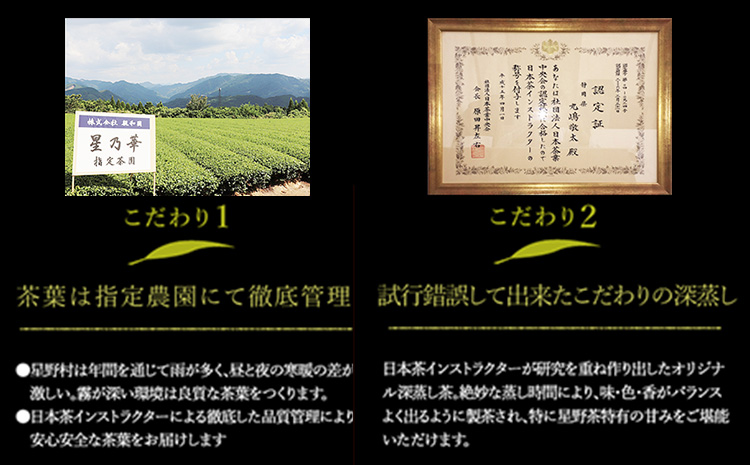 八女茶 八女ほうじ茶 ティーバッグ 3g×200個(福岡県八女産) 株式会社親和園《30日以内に出荷予定(土日祝除く)》福岡県 鞍手郡 鞍手町 お茶 ほうじ茶 ティーパック ティーバッグ 八女茶 送料