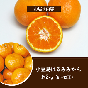 はるみ 小豆島はるみみかん 柑橘 フルーツ はるみ【約2kg】