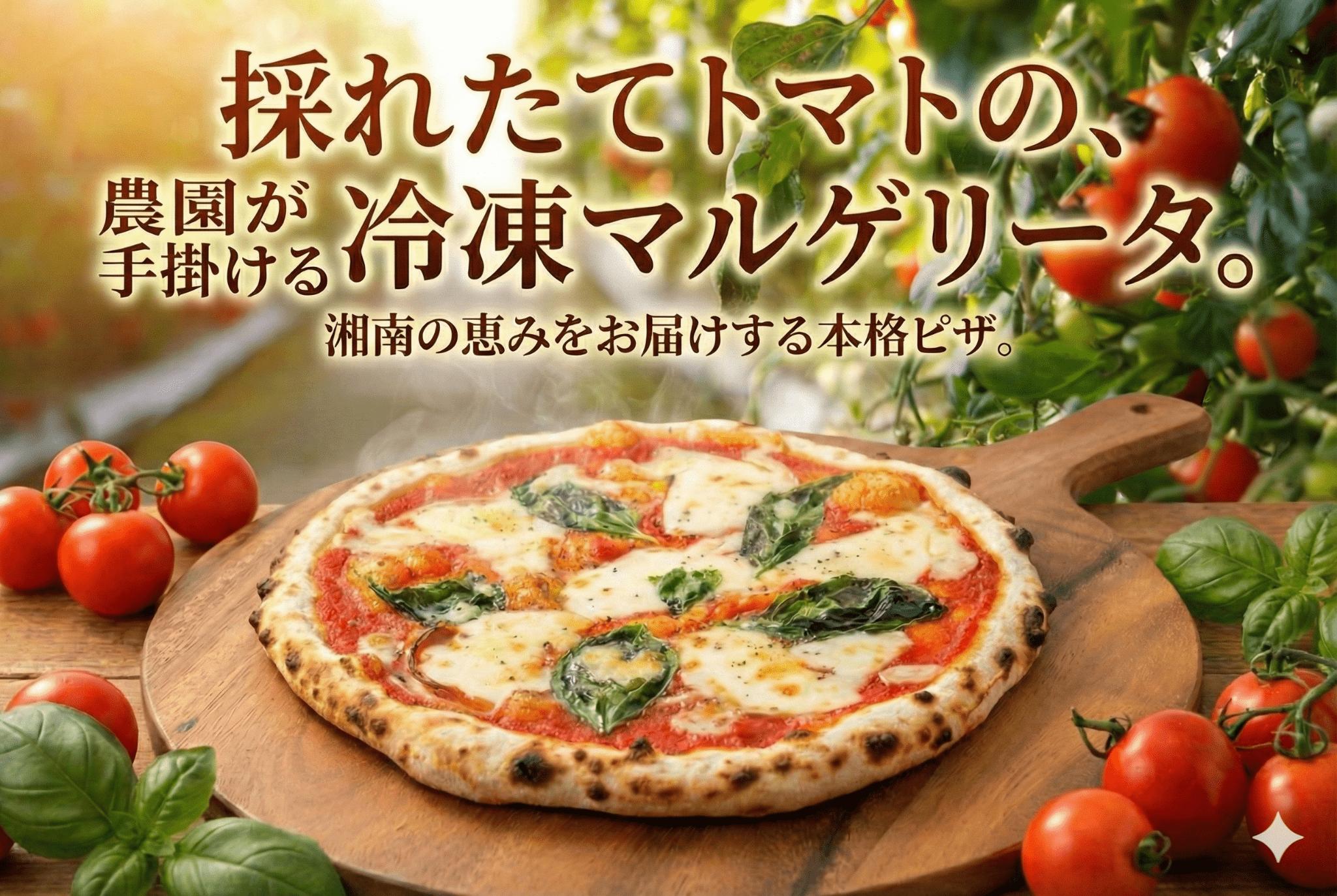 
            ピザ マルゲリータ 手作りピザ 冷凍ピザ 3枚 高糖度 フルーツトマト チーズ モッツァレラチーズ 朝採れ フレッシュ バジル トマト トマトソース 濃縮 tomato 野菜 やさい yasai 瞬間冷凍 定番 こだわり 10000円 農家 トマト農家 農園 農業 絶品 本格 ヘルシー 新鮮 健康 自然 神奈川 湘南 藤沢
          