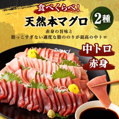 ふるさと納税 室戸市 厳選天然本マグロ　中トロたっぷりセット |  | 02