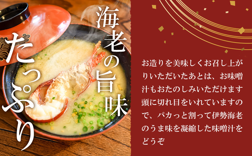 【年末配送】CAS凍結 伊勢海老 姿造り 500g 〜 600g 約2人前