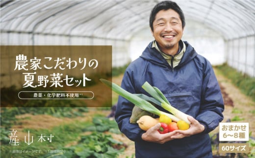 《先行受付！7月中旬より順次発送》大地と共に生きよう　おまかせ野菜セット【1人～2人用】