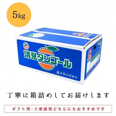 【まるで食べるジュース!越冬完熟品】愛媛産 訳あり 清見オレンジ 5kg【C20−33】【1594859】