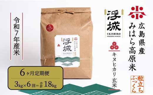 
                  《令和7年》【6か月定期便】みはら高原米 浮城 ～ きぬひかり ～ 玄米 3kg お米 米 ごはん ご飯 広島県 三原市 220048
                