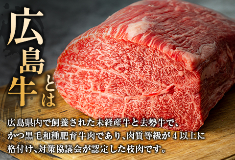 和牛 ヒレ ステーキ 広島牛 A4 A5 450g 森下牧場