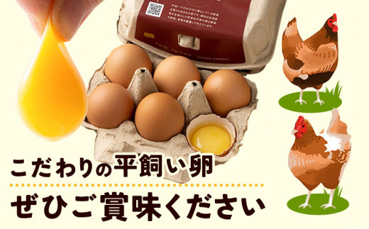 【1-12-38】こだわりの平飼いたまご食べ比べセット