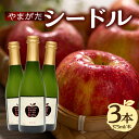 【ふるさと納税】やまがたシードル 375ml×3本 山形県 大江町 スパークリング ワイン シードル りんご 紅玉