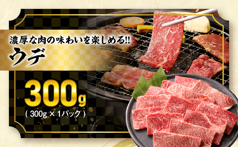 【令和8年3月配送】宮崎牛 赤身 霜降り 焼肉 3種 食べ比べ セット 合計900g 数量限定 肉 牛肉 黒毛和牛 国産 A4 A5 おすすめ 肩ロース モモ ウデ 食品 おかず 晩ご飯 お弁当 BB