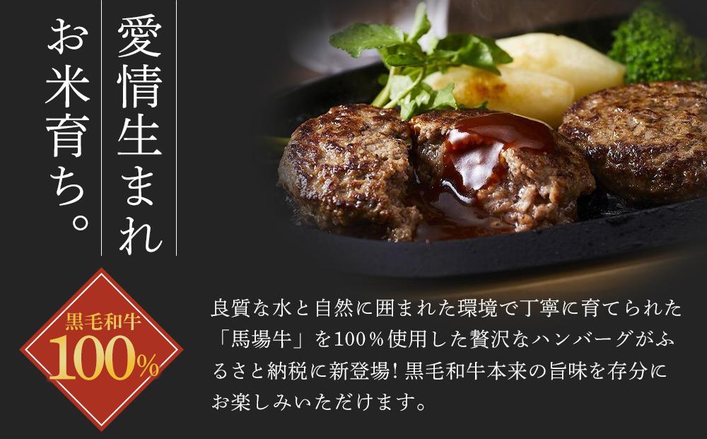 【馬場牛】ハンバーグ 宮城県産黒毛和牛100％ プレミアムハンバーグ 8個セット 牛肉100%｜お肉 肉 国産牛 牛肉 ハンバーグ 宮城県角田市育ち