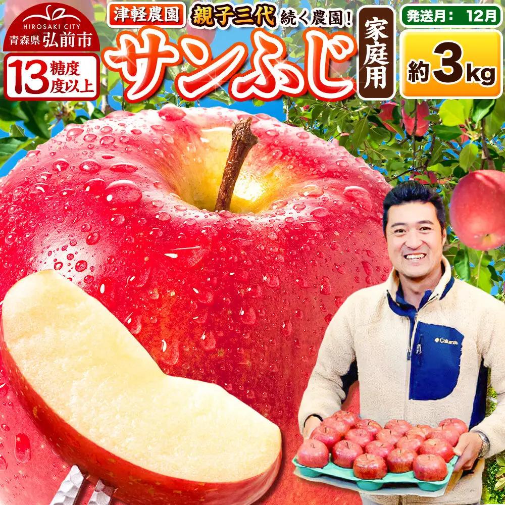 りんご サンふじ 家庭用 約3kg 【12月発送】 りんご