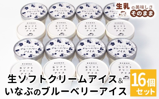 2026年7月1日～寄付金額変更★〈即日発送〉厳選された素材でつくった★生ソフトクリーム＆いなぶのブルーベリーアイス (80ml)×16個セット 10000円