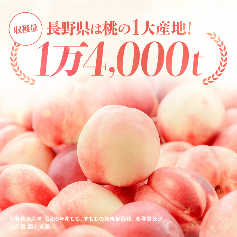 【7月下旬より順次発送】南信州産「桃」あかつき 約2kg 5～9玉 | 果物 くだもの フルーツ 桃 モモ もも あかつき 新鮮 長野県 信州 南信州 飯田市