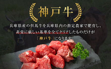 ＜お試し用＞＜神戸牛＞角切り　カレー・シチュー・煮込み用　500g(250g×2P)