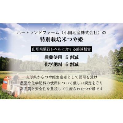 ふるさと納税 小国町 つや姫・雪若丸食べ比べセット 2kg×2袋 精米 令和7年産米 山形県小国町産 |  | 01
