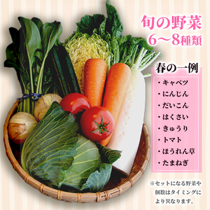 【4回定期便】 京都 舞鶴 季節の野菜BOX 詰め合せ セット 6～8種類 年4回 定期便 季節の野菜 旬の野菜 旬野菜 新鮮 京野菜 野菜定期便