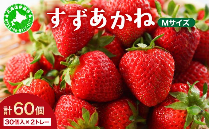 ＜先行予約＞ 北海道 伊達市 いちご すずあかね Mサイズ 30個入り 2トレー 60個【55250946】苺 イチゴ スイーツ デザート 果物 甘い 赤 鮮やか 新鮮 ケーキ お菓子作り