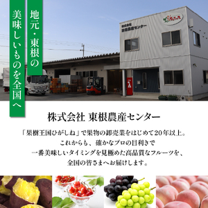 【瞬間冷凍】東根市産 カット済み 白桃＆黄桃 大容量 各500g 東根農産センター提供 hi027-254 山形県 東根市 果樹王国 フルーツ 果物 白桃 黄桃 冷凍果物 お取り寄せ グルメ 送料無料