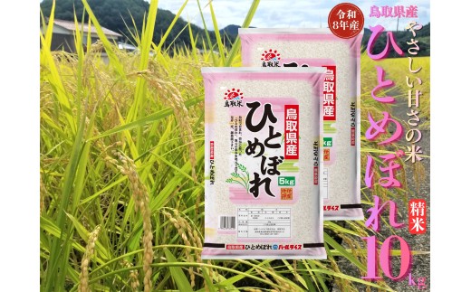 348M.鳥取県産ひとめぼれ◇精米10kg◇令和8年産