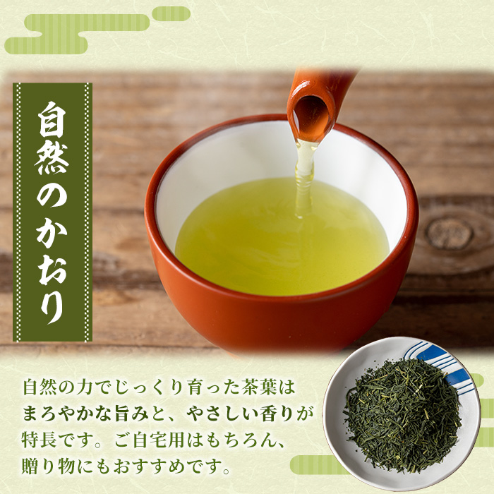 鹿児島県産緑茶 自然のかおり 竹(100g×5袋) 鹿児島 鹿児島県産 お茶 茶 緑茶 茶葉 ギフト プレゼント 贈り物 常温 【米丸製茶】【A-1946H】