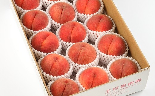 08-03-019　もも(川中島白桃)4.5kg