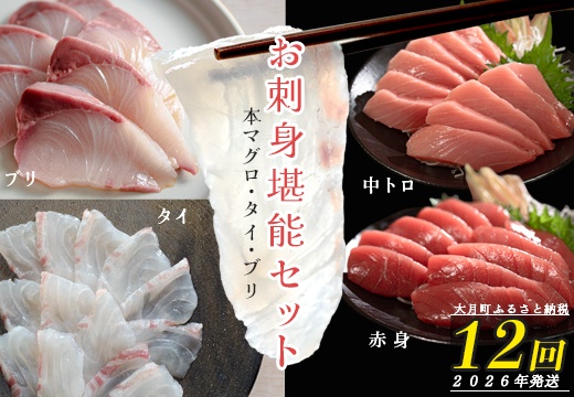 【定期便 12回】本マグロ・タイ・ブリ お刺身堪能セット