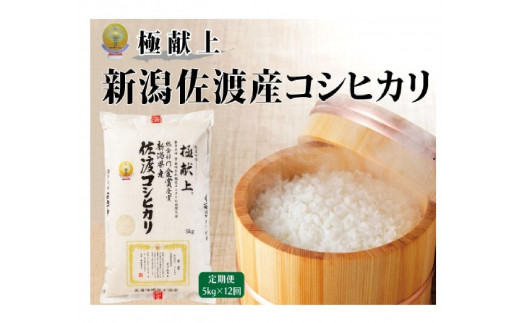 
                  【毎月定期便 12ヵ月 令和8年産新米】金賞受賞　新潟県佐渡産コシヒカリ　10kg全12回
                