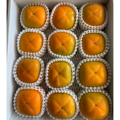 ふるさと納税 有田川町 たねなし柿　赤秀品　2Lサイズ(11〜12個)【マルシ農園】 |  | 03