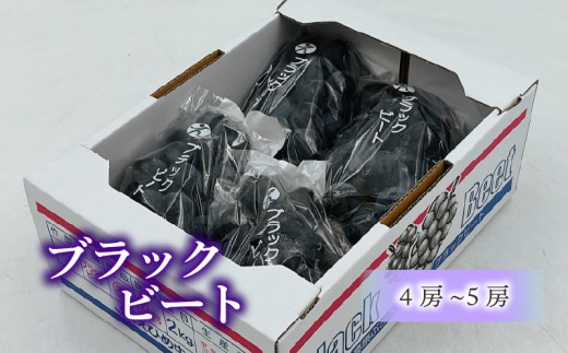 【2026年8月下旬頃から順次発送】 ブラックビート 4～5房  約1.8㎏ 秀品 | ぶどう 葡萄 フルーツ 果物 産地直送  期間限定 くだもの ぶどう 葡萄 ブドウ おすすめ 人気 旬 フルーツ 愛媛県 松山市