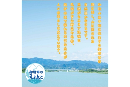 紀州南高梅　あまやか　1.2kg　家庭用（B級、C級）