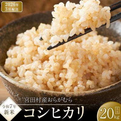 ふるさと納税 宮田村 【先行受付】【令和7年米】【新米】長野県宮田村産コシヒカリ/玄米/20kg/令和8年3月配送