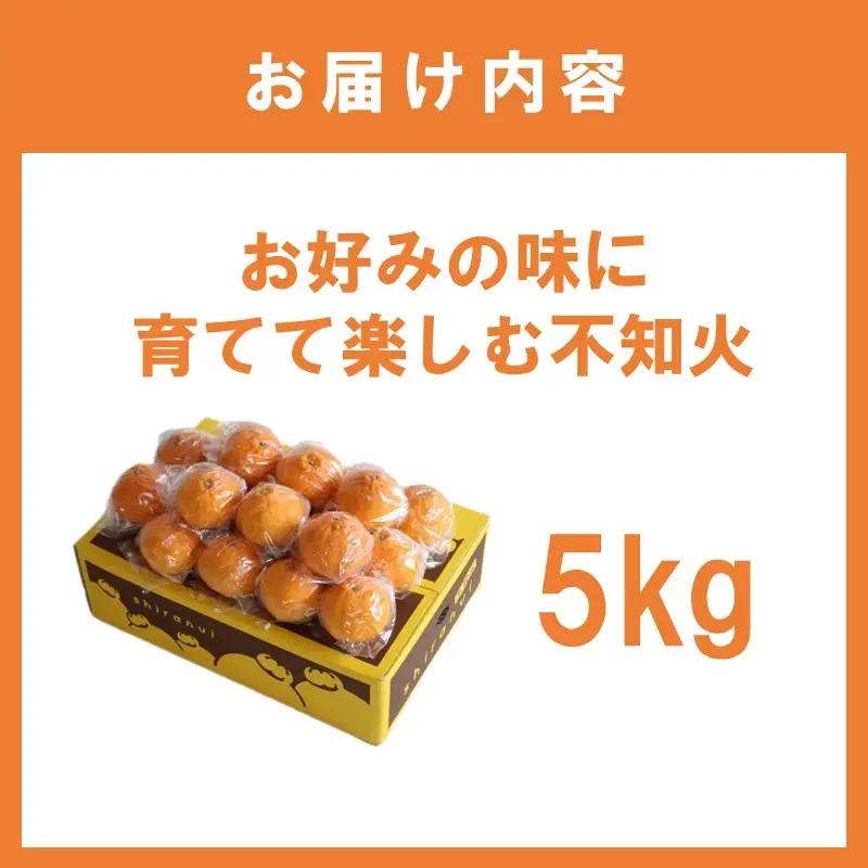 お好みの味に育てて楽しむ不知火5kg＜先行予約2027年2月発送開始分＞【1358】