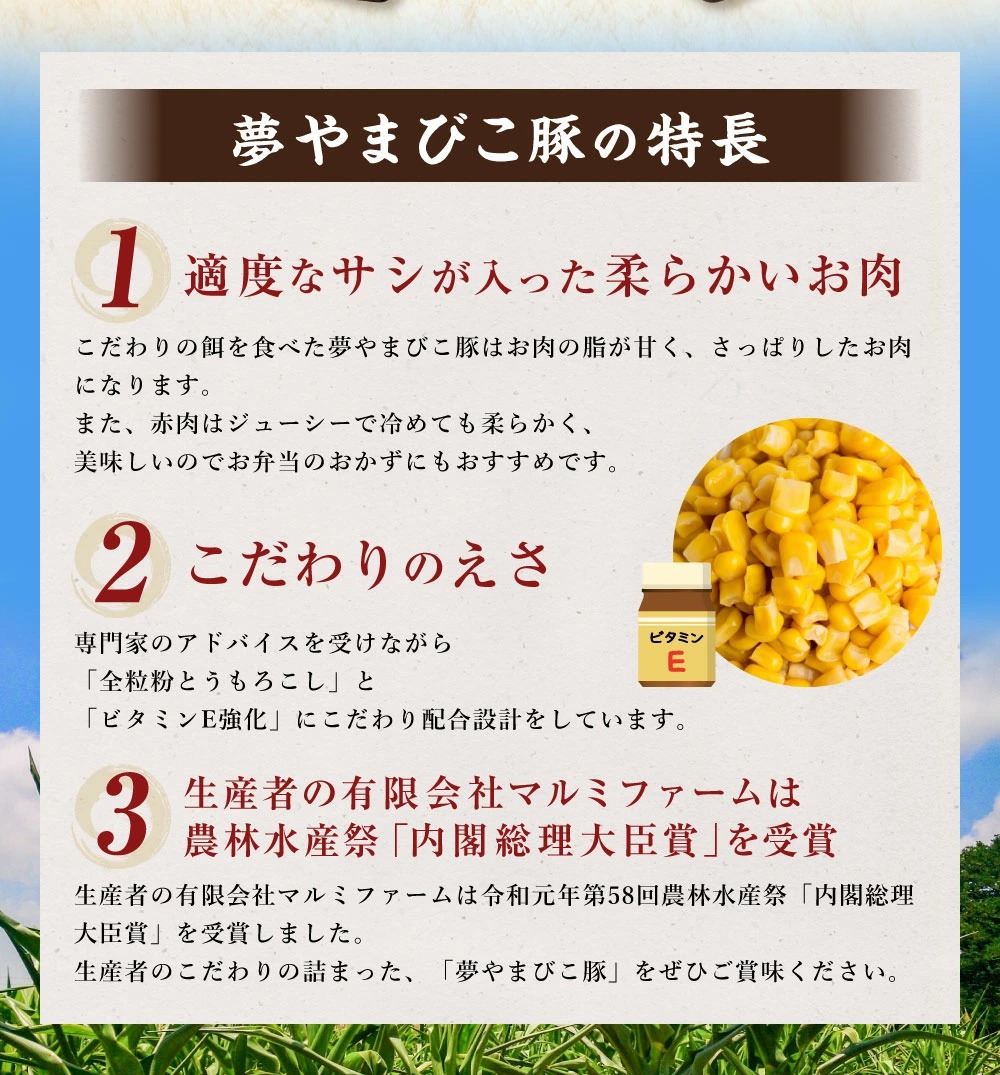 夢やまびこ豚 焼肉セット 1kg 5種類 (ロース・肩ロース・バラ・ヒレ・小間切れ) 肉 お肉 豚肉_イメージ3