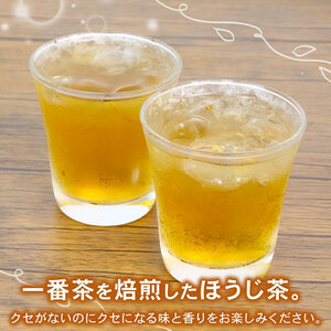 ほうじ茶 ティーバッグ 5g×10個入 計2パック お茶 ギフト 贈答  茶葉 焙じ茶 常温 保存 便利 お試し 静岡 沼津 母の日