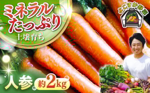 【先行予約】【数量限定】人参 セット　約2kg（10月〜6月） 野菜  やさい 【鈴也ファーム】 [AKCE013]
