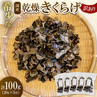ふるさと納税 大垣市 【訳あり】希少な国産乾燥きくらげ 100g(20g×5袋)
