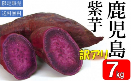 ZS-942【先行予約】【訳アリ】鹿児島県産紫芋 7kg 吉永農園 さつまいも アントシアニン 数量限定 期間限定 調理 焼き芋 芋 鹿児島県 薩摩川内市 送料無料