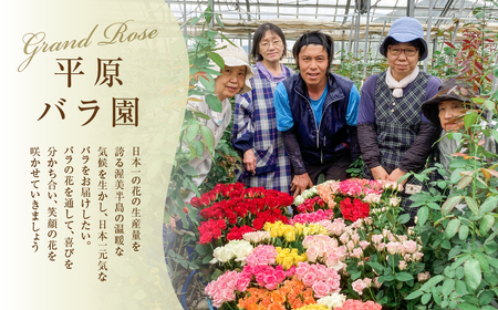 バラの花束 ご自宅用 10本  そもまま飾れる器付き チャーミングローズ 薔薇の花