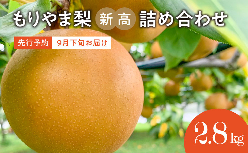 
            びわこもりやまフルーツランド　もりやま梨　新高詰め合わせ 【2025年9月下旬お届け】完熟採り 生産農家直送 旬 果物 フルーツ
          