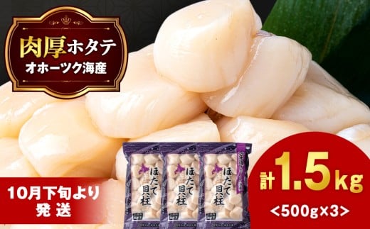 【10月下旬以降発送】ほたて 貝柱 大粒 冷凍 1.5kg（500ｇ×3パック） お取り寄せ 刺身 《横田水産》