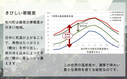 たわわに実るシャインマスカット